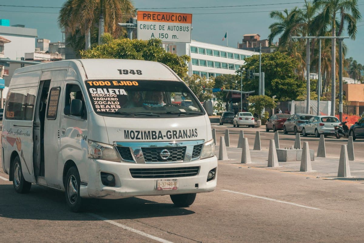 White passenger van on a palm-lined coastal road